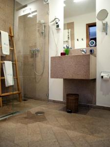 a bathroom with a shower and a sink and a mirror at Dom Dinis Marvão in Marvão