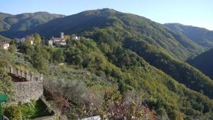 Blick auf einen Berg mit einem Dorf auf einem Hügel in der Unterkunft piscina con vista in Bagni di Lucca