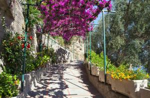 a garden with purple flowers hanging over a pathway at Hotel Pupetto in Positano