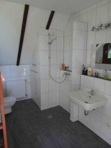 een badkamer met een douche, een wastafel en een toilet bij Ferienhaus im Grünen - NEU mit E-Auto Ladesäule in Morsbach