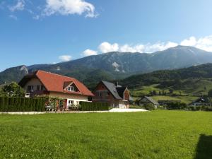 a house in a field with mountains in the background at Apartment Marjetka in Žirovnica