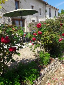 een tuin met rozen en een paraplu voor een huis bij Les Gîtes du Breuillat in Paillé