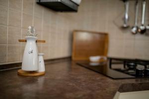 Kuchyňa alebo kuchynka v ubytovaní Apartmani Godinić
