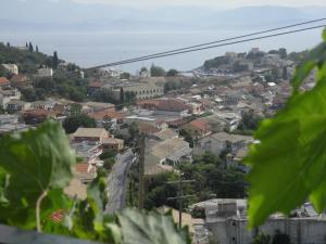 Príroda v okolí apartmánu