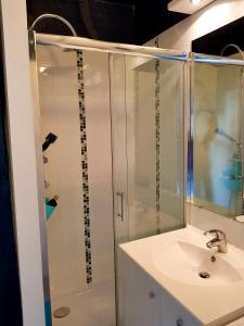 Un baño con ducha de cristal y lavabo. en Appartement typique Rouen centre tout confort, en Rouen
