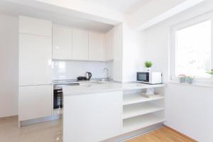 Kuchyň nebo kuchyňský kout v ubytování Apartments Dora