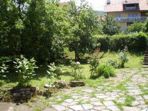 a garden with plants and trees and a building at Studio Elizabeta in Soko Banja