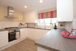 Kuchyň nebo kuchyňský kout v ubytování Lucy's Lodge- Most Stylish Apartment On Vibrant Bishy Road