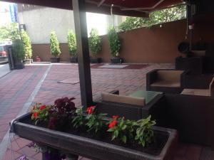 Fotografie z fotogalerie ubytování Hotel Millenium2 v destinaci Prizren