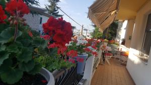 une rangée de fleurs en pots sur un balcon dans l'établissement B&B Gasiso, à Monfalcone