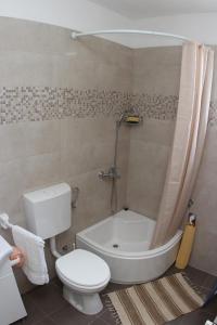 a bathroom with a toilet and a tub and a sink at Apartmani Ivanković in Vrisnik