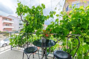 Zahrada ubytování Apartment Antonija