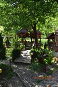 A garden outside Casa Maria