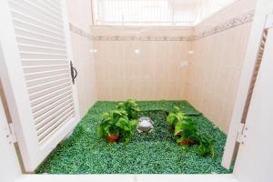 Kép Villa EGO szállásáról Torreviejában a galériában