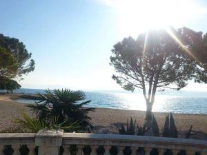 a tree on the beach with the sun shining at Apartment Dora in Crikvenica