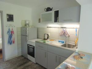 Kuchyň nebo kuchyňský kout v ubytování Apartment Kolman