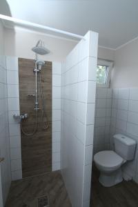 uma pequena casa de banho com WC e chuveiro em Ilona Apartmanház em Komárom