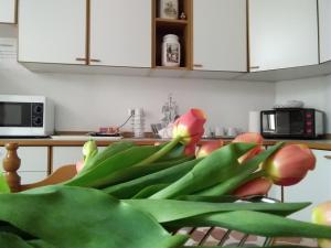 Kuchyň nebo kuchyňský kout v ubytování B&B "Al Calopinace"