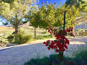 A garden outside Agriturismo Casebianche