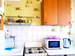 モスクワにあるApartments Bolshaya Tatarskayaのキッチン(コンロ、電子レンジ付)