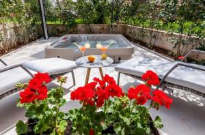 Zahrada ubytování Villa Augustina