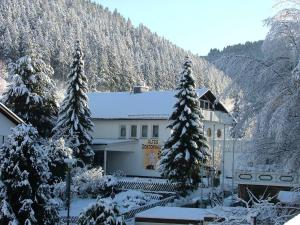 a building with snow covered trees in front of a mountain at Altes Doktorhaus - Hotel Garni in Willingen