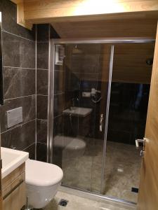 a bathroom with a shower with a toilet and a sink at Etap Uzungöl Suite Hotel in Uzungöl +48 photos