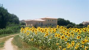 ein Feld von Sonnenblumen vor einem Gebäude in der Unterkunft Villa La Charmeuse Fleurie in Collias