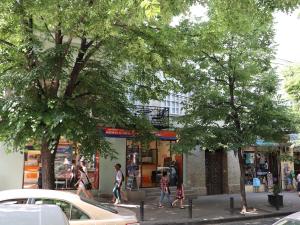 a group of people walking down a street at Liberty Apartment And Rooms in Tbilisi City +32 photos