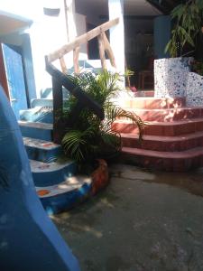 a group of stairs with plants on them at Blue Day in Canoa Quebrada