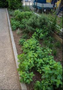 Gallery image of Mediterranean Family design in Izola +11 photos