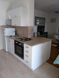 Kuchyň nebo kuchyňský kout v ubytování Apartman Frketić