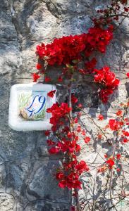 Foto da galeria de Hotel Residence S.Angelo em Ischia