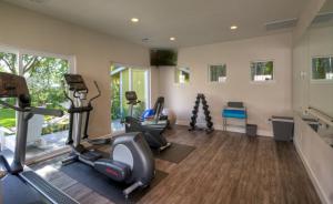 Fitness centrum a/nebo fitness zařízení v ubytování Lithia Springs Resort + 14 fotografií