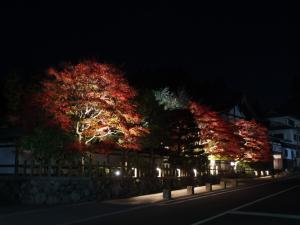 Fotografie z fotogalerie ubytování Koyasan Shukubo Sainanin v destinaci Kojasan