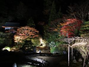 Zahrada ubytování Koyasan Shukubo Sainanin
