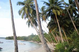 a beach with palm trees and boats in the water at Nyang Ebay Surf Camp siberut front E-Bay,Beng-Bengs,Pitstops,Bank Vaults,Nipussi in Masokut
