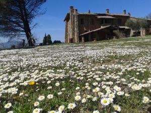 A garden outside Agriturismo Le Roghete