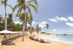 - une plage avec des chaises, des palmiers et l'océan dans l'établissement Hyatt Zilara Rose Hall Adults Only - All Inclusive, à Montego Bay