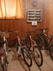 Jízda na kole v ubytování B&B A.R.C.O. nebo okolí