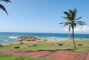 una spiaggia con una palma e l'oceano di 11 Coral Sands a Scottburgh