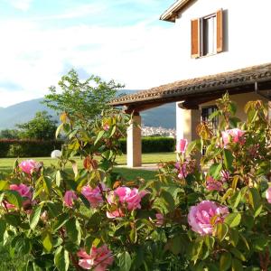 un cespuglio di rose rosa di fronte a una casa di Podere Le Volte degli Angeli a Spello