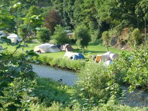 a group of tents in a field next to a river at Taos Single - Camping Du Nord in Dirbach