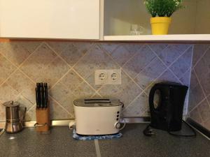 A kitchen or kitchenette at Family Wellness Apartman