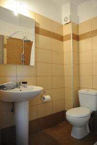 uma casa de banho com um lavatório, um WC e um espelho. em Rodon Loutra em Agia Paraskevi