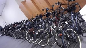 在Albergue Ferramenteiro内部或周边骑自行车