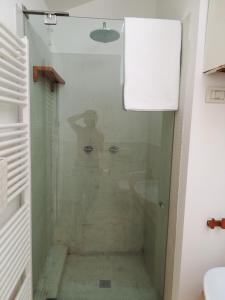 a person standing in a glass shower in a bathroom at Residenza San Pietro in Vicenza