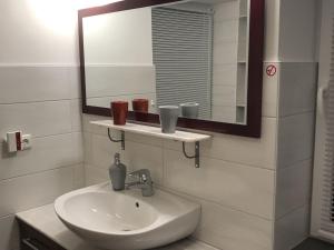 a bathroom with a sink and a mirror at Ferienhaus in Neu Poserin for 5 Personen in Neu Poserin +27 photos