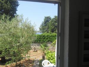 Zahrada ubytování Apartment Kolman