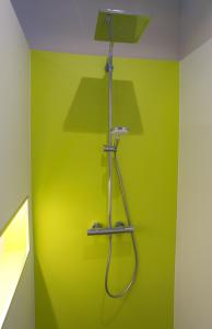 a bathroom with a green wall with a shower at Hof Hahnenberg in Wagenfeld